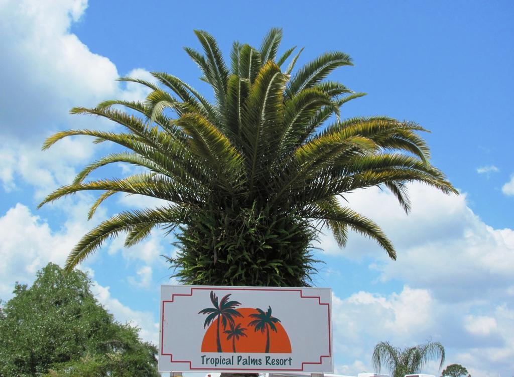 Tropical Palms Resort & Campground Kissimmee Ngoại thất bức ảnh